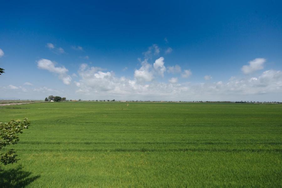 Salicornia Apartament L'Eucaliptus Ngoại thất bức ảnh